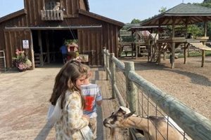 Visit Lewis Farms Petting Zoo: Animals & Fun! | The Conscious Farmer | Sustainable Agriculture for a Healthier Planet