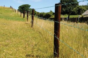 Secure Your Farm: Fence Posts for Reliable Farming | The Conscious Farmer | Sustainable Agriculture for a Healthier Planet