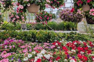 Your Farm & Garden Station: Supplies & More | The Conscious Farmer | Sustainable Agriculture for a Healthier Planet