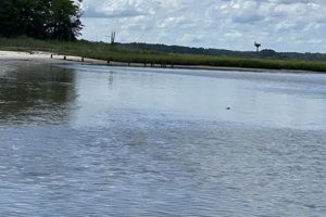Explore James Farm Ecological Preserve: A Natural Haven | The Conscious Farmer | Sustainable Agriculture for a Healthier Planet
