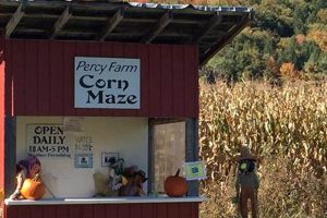 Visit Percy Farm Corn Maze: A Fall Farming Adventure! | The Conscious Farmer | Sustainable Agriculture for a Healthier Planet