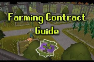 OSRS Farming Contracts Guide: Tips & Rewards! | The Conscious Farmer | Sustainable Agriculture for a Healthier Planet