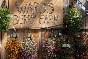 Visit Ward's Berry Farm: Fresh, Local Berries! | The Conscious Farmer | Sustainable Agriculture for a Healthier Planet