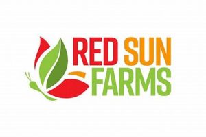 Why Red Sun Farms Produce Stands Out: Growing Excellence | The Conscious Farmer | Sustainable Agriculture for a Healthier Planet