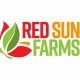 Why Red Sun Farms Produce Stands Out: Growing Excellence | The Conscious Farmer | Sustainable Agriculture for a Healthier Planet