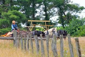 Experience Slate Run Historical Farm: Farming's Past | The Conscious Farmer | Sustainable Agriculture for a Healthier Planet