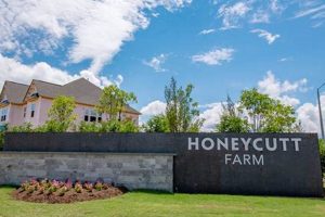 Your Local Honeycutt Farms: Fresh & Sustainable | The Conscious Farmer | Sustainable Agriculture for a Healthier Planet