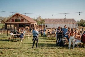 Visit the Old Farm Winery at Hartland: A Farming Legacy! The Conscious Farmer | Sustainable Agriculture for a Healthier Planet Visit the Old Farm Winery at Hartland: A Farming Legacy! | The Conscious Farmer | Sustainable Agriculture for a Healthier Planet