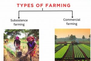 Exploring Farming Types: A Guide to Modern Agriculture | The Conscious Farmer | Sustainable Agriculture for a Healthier Planet