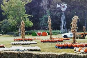 Visit Bennett Farms: Your Local Farm Fresh Choice! | The Conscious Farmer | Sustainable Agriculture for a Healthier Planet
