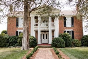 Your Cedarmont Farm: Explore History & Farming | The Conscious Farmer | Sustainable Agriculture for a Healthier Planet
