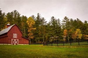 Find Farms for Rent Near You: Land & More! | The Conscious Farmer | Sustainable Agriculture for a Healthier Planet