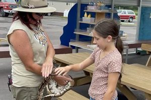 Visit A Safari Farm Petting Zoo: Farm Fun! | The Conscious Farmer | Sustainable Agriculture for a Healthier Planet