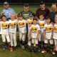 Minor League to Major: Farm League Explained! | The Conscious Farmer | Sustainable Agriculture for a Healthier Planet