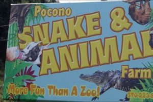 Explore: Pocono Snake & Animal Farm's Wildlife Wonders | The Conscious Farmer | Sustainable Agriculture for a Healthier Planet