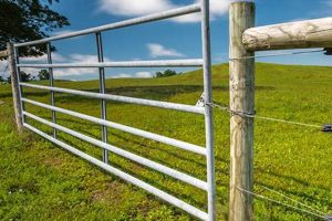Direct Farm Gate Sales: Fresh from the Field | The Conscious Farmer | Sustainable Agriculture for a Healthier Planet