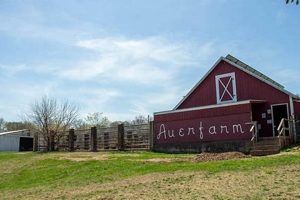 Visit Auer Farm Bloomfield CT: A Blooming Farm Experience | The Conscious Farmer | Sustainable Agriculture for a Healthier Planet
