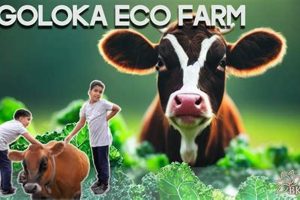 Discover Goloka Farm: Ethical Farming &amp; More | The Conscious Farmer | Sustainable Agriculture for a Healthier Planet