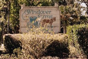 Discover Windover Farms: Your Local Harvest Source! | The Conscious Farmer | Sustainable Agriculture for a Healthier Planet