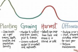 Smart Farming: Which Seasons Are Best? Grow Now! | The Conscious Farmer | Sustainable Agriculture for a Healthier Planet