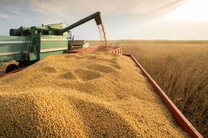 Profitable Grain Farming: Tips &amp; Tech Secrets | The Conscious Farmer | Sustainable Agriculture for a Healthier Planet