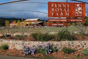 Exploring Pennyroyal Farm: Sustainable Farming | The Conscious Farmer | Sustainable Agriculture for a Healthier Planet