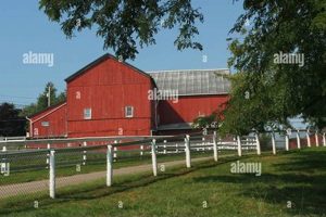 Visit Schrock's Amish Farm: Fresh, Local &amp; Traditional! | The Conscious Farmer | Sustainable Agriculture for a Healthier Planet