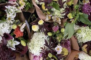 Grow Local: Sunny Meadows Flower Farm Blooms | The Conscious Farmer | Sustainable Agriculture for a Healthier Planet
