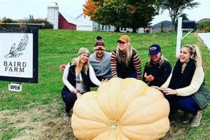 Your Baird Farms: Local Farming & Fresh Goods | The Conscious Farmer | Sustainable Agriculture for a Healthier Planet