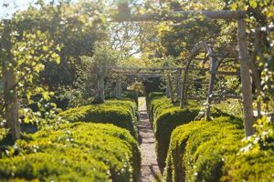 Visit Stone Acres Farm: Sustainable Local Farming | The Conscious Farmer | Sustainable Agriculture for a Healthier Planet