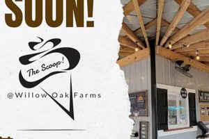 The Scoop on Willow Oak Farms: Local Farming Insights | The Conscious Farmer | Sustainable Agriculture for a Healthier Planet
