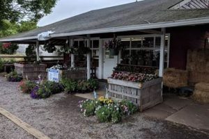NJ Atlantic Farms: Your Source for Coastal Harvests | The Conscious Farmer | Sustainable Agriculture for a Healthier Planet