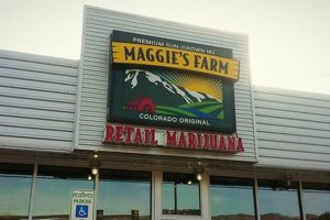 Discover Maggies Farm Manitou: Sustainable Living Guide | The Conscious Farmer | Sustainable Agriculture for a Healthier Planet
