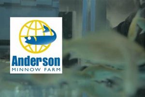 Buy Anderson Minnow Farm Live Bait | [City, State] | The Conscious Farmer | Sustainable Agriculture for a Healthier Planet