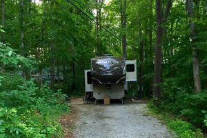 Visit Merry Meadows Recreation Farm Freeland, MD! | The Conscious Farmer | Sustainable Agriculture for a Healthier Planet
