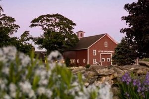 Your Local Little Dipper Farm: Fresh & Sustainable | The Conscious Farmer | Sustainable Agriculture for a Healthier Planet