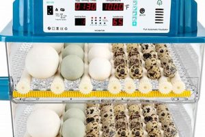 Georgia Quail Farm Incubator: Hatching Success for Georgia Farmers | The Conscious Farmer | Sustainable Agriculture for a Healthier Planet