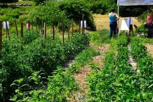 Visit Heron Pond Farm New Hampshire: A Rural Escape | The Conscious Farmer | Sustainable Agriculture for a Healthier Planet