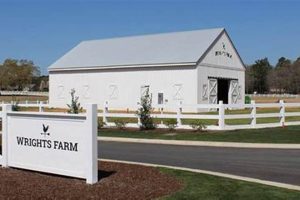 Discover Wright Farms: Your Local Farming Freshness | The Conscious Farmer | Sustainable Agriculture for a Healthier Planet
