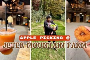 Visit Jeter Mountain Farm Apple Orchard: A Family Fun Getaway! | The Conscious Farmer | Sustainable Agriculture for a Healthier Planet