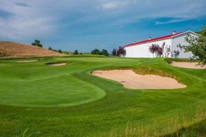 Discover Olde Farm Golf: The Pasture Game Awaits | The Conscious Farmer | Sustainable Agriculture for a Healthier Planet