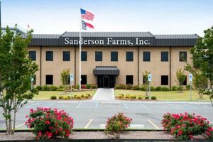 Laurel's Sanderson Farms: Jobs &amp; Chicken in MS | The Conscious Farmer | Sustainable Agriculture for a Healthier Planet