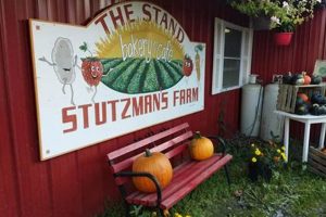 Your Guide to Stutzman Farms: Family Farming Excellence | The Conscious Farmer | Sustainable Agriculture for a Healthier Planet