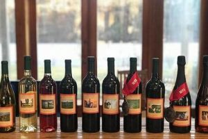 Visit Chisholm Vineyards: Adventure Farm Fun & Wine! | The Conscious Farmer | Sustainable Agriculture for a Healthier Planet