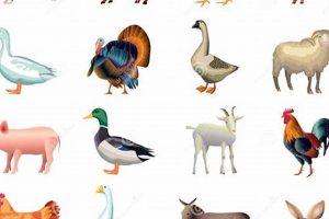 Achieve Farm Animals Realistic: Art, Tips & More! | The Conscious Farmer | Sustainable Agriculture for a Healthier Planet