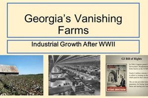Georgia Farming: What Happened to Farms After WWII? | The Conscious Farmer | Sustainable Agriculture for a Healthier Planet