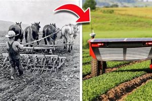 Westward Expansion: How Did Farming Change Out West? | The Conscious Farmer | Sustainable Agriculture for a Healthier Planet