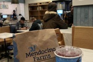 Your Mendocino Farms Kirkland Guide & More! The Conscious Farmer | Sustainable Agriculture for a Healthier Planet Your Mendocino Farms Kirkland Guide & More! | The Conscious Farmer | Sustainable Agriculture for a Healthier Planet