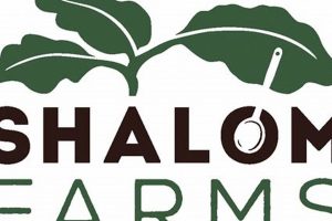 Grow With Shalom Farms: Ethical Farming &amp; More | The Conscious Farmer | Sustainable Agriculture for a Healthier Planet