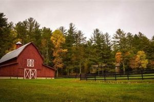 Discover Circle D Farm: Sustainable Farming Excellence | The Conscious Farmer | Sustainable Agriculture for a Healthier Planet